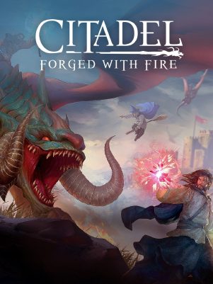 Citadel Forged With Fire server hosting