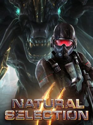 Natural Selection 2 server hosting